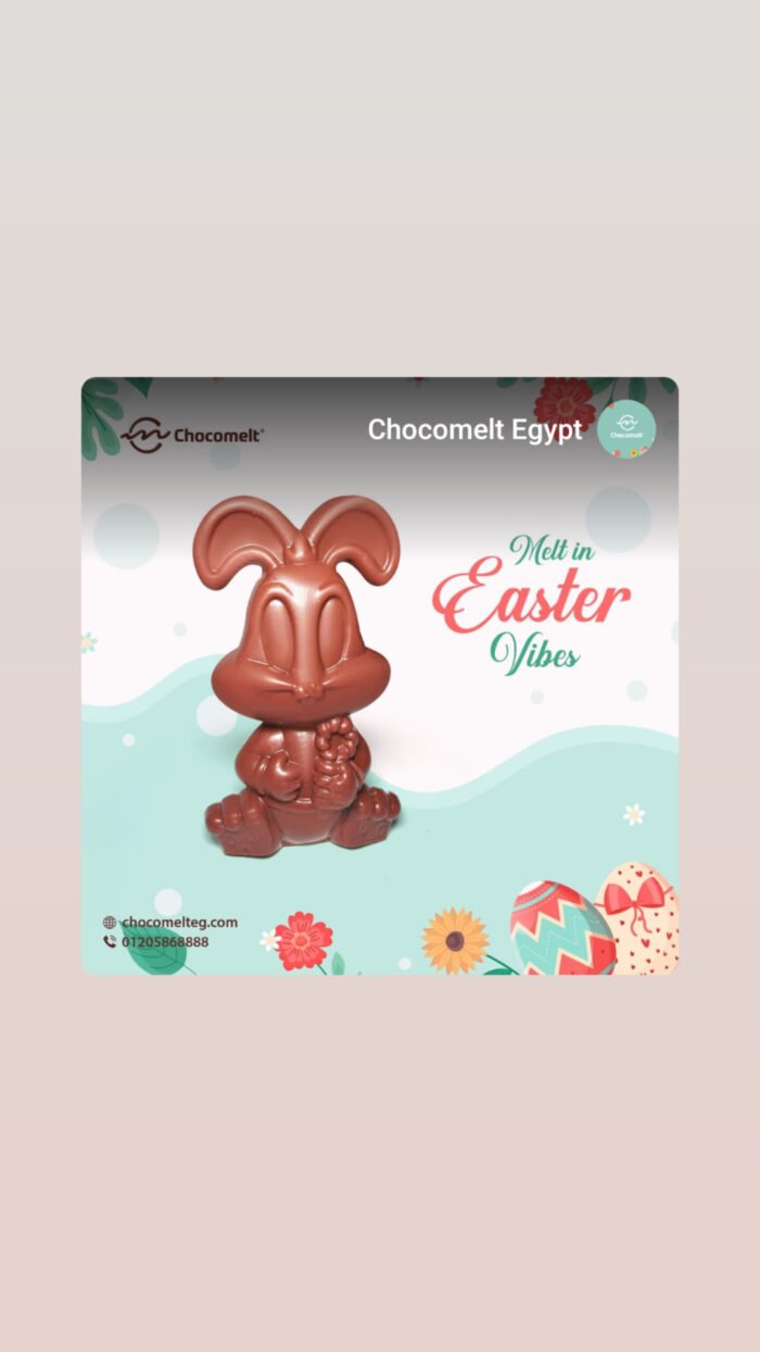 chocomelteg أرنب