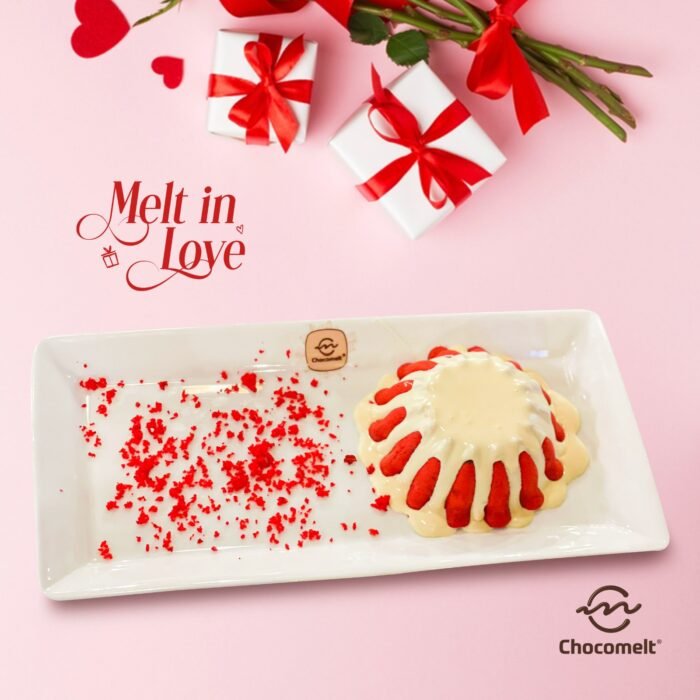 chocomelteg MOLTEN CAKE