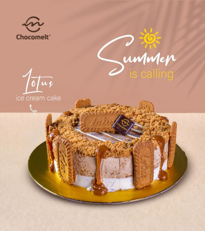 chocomelteg ice cream cake